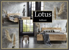 Lotus Ledikant met hoofd & voetbord